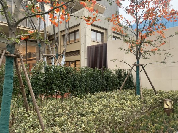 金融街壹號最新價，獲取與理解指南全解析