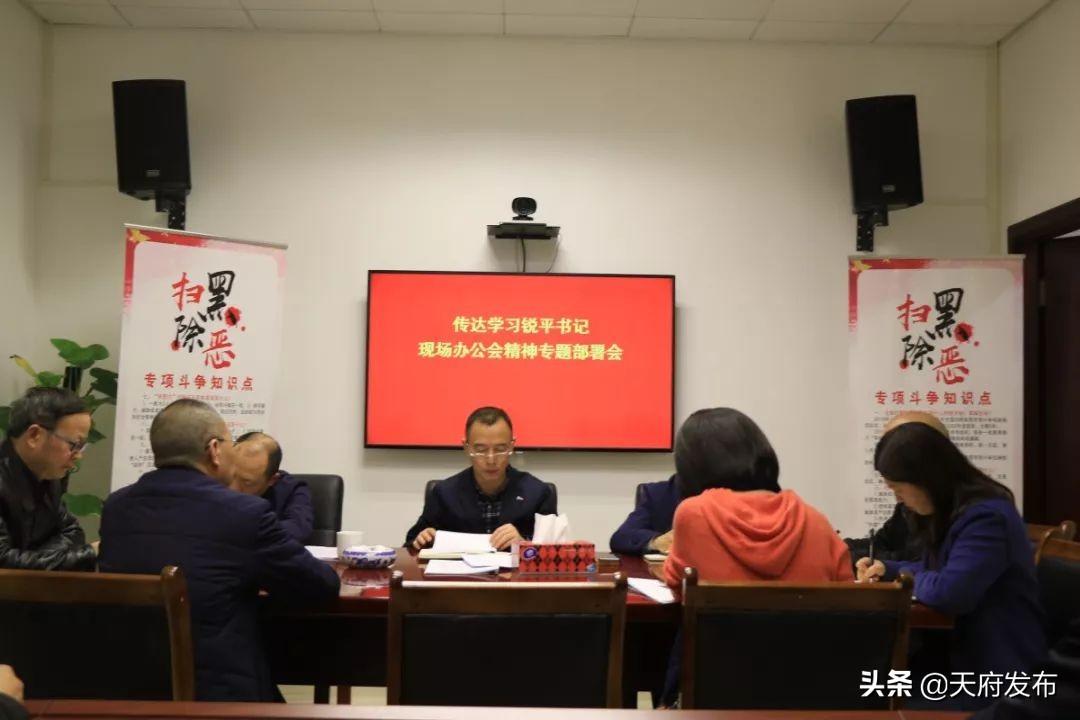 成都直管區(qū)最新動態(tài)，一種觀點的深度分析與闡述