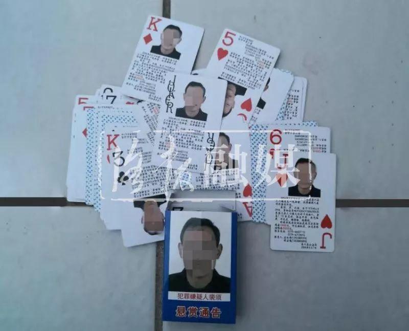欒川租房信息更新，科技引領(lǐng)智能租房新時代的探索