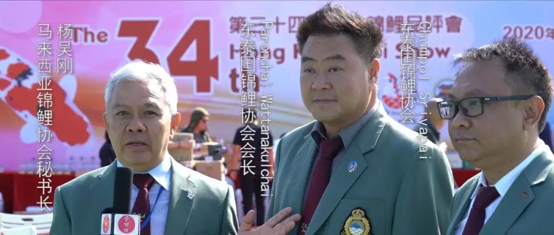 比賽錦鯉，好運降臨，迎接勝利的喜悅！
