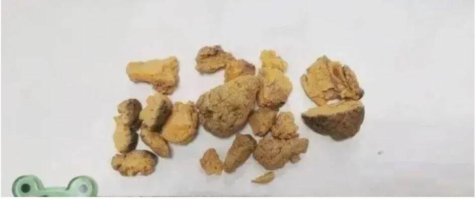 最新鴿子術(shù)引領(lǐng)未來生活變革，高科技產(chǎn)品帶來前所未有的體驗(yàn)